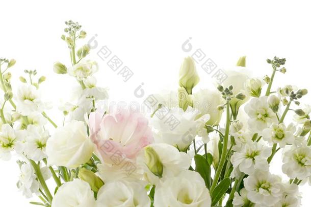 白色的花,漂亮的白色的花为背景