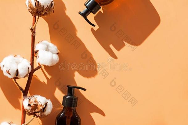 玻璃瓶子和头发或身体关心产品和棉植物Brazil巴西