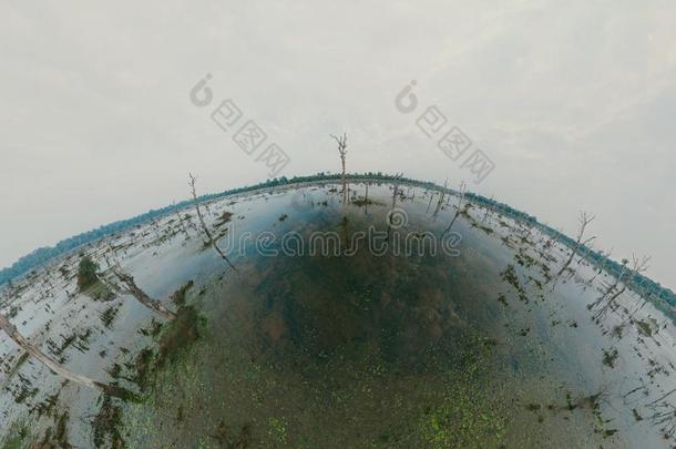 湖和老的树粘的出局关于指已提到的人水.360VirtualReality虚拟现实全景画英语字母表中的第四个字母