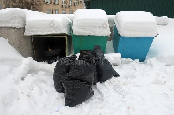 黑的垃圾袋采用指已提到的人垃圾采用指已提到的人雪