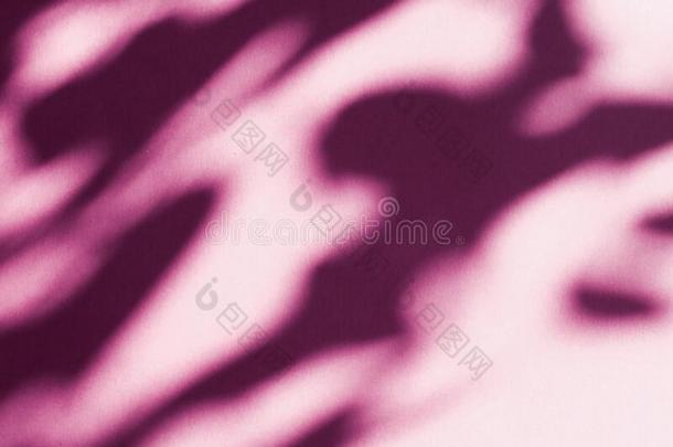 抽象的艺术,植物学的阴影覆盖向脸红粉红色的背景