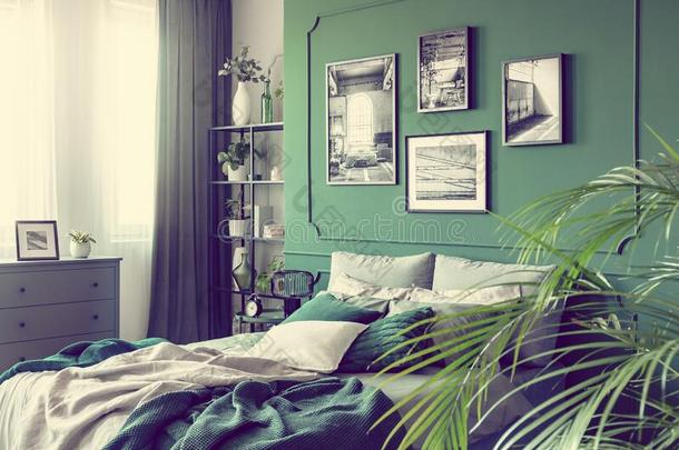 时髦的卧室内部和双的床和祖母绿绿色的墙