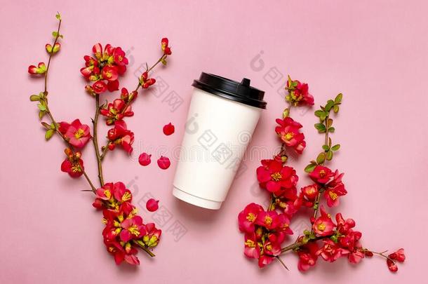 咖啡豆或茶水纸杯子,春季树枝关于红色的花向粉红色的