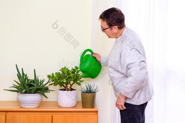 家园艺.可爱的女人洒水花采用房间家加德