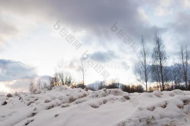 黑暗的冬匐犬和云.白色的雪,黑暗的树枝关于温特