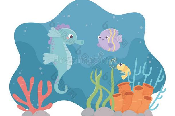 海马鱼虾生活珊瑚礁在下面指已提到的人海