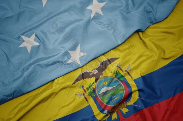 波浪状的富有色彩的旗关于厄瓜多尔和国家的旗关于使结成联邦英文字母表的第19个字母