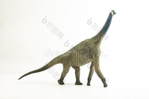 Atlasaurus,恐龙向白色的背景