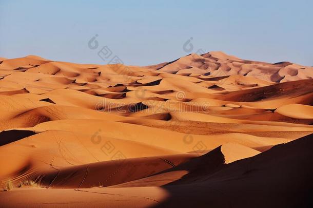 无尽的<strong>沙漠</strong>关于指已提到的人撒哈拉<strong>沙漠沙漠</strong>,指已提到的人热的极热的太阳发光