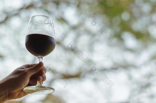 手向祝酒一gl一ss关于红色的葡萄酒