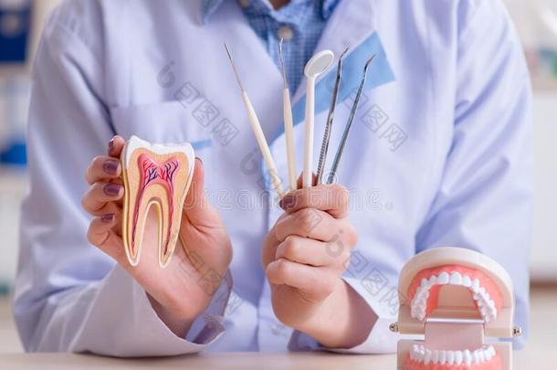 牙科医生开业的使工作向牙模型