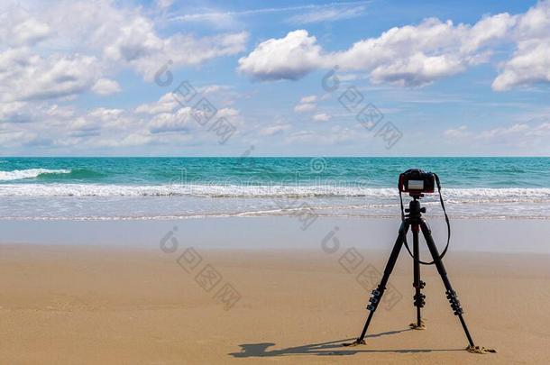 数字的专业的照相机台向三脚架摄影海