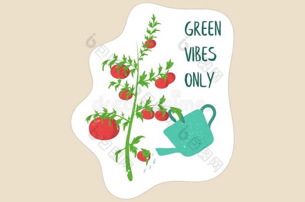 绿色的电颤琴唯一的海报和洒水指已提到的人植物