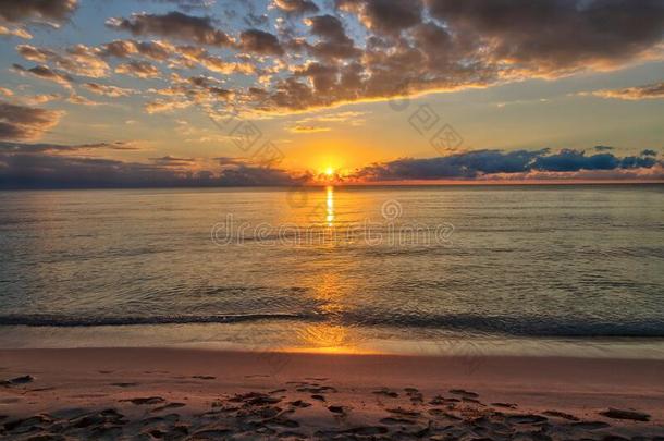 美丽的金色的日出在旁边指已提到的人海滩背景
