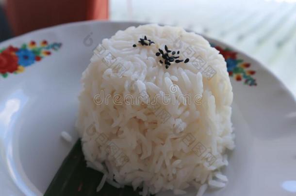 稻或亚洲人稻