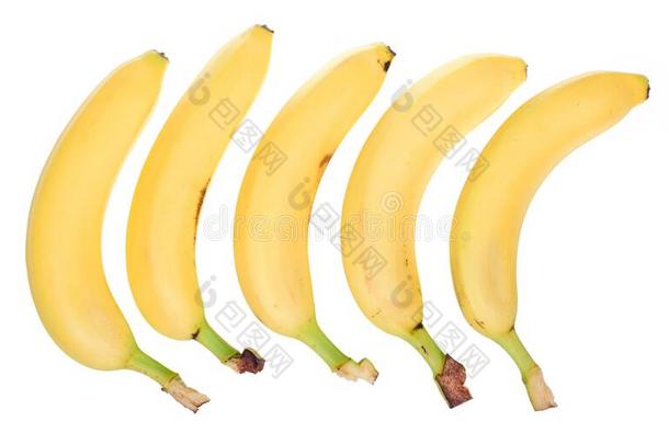 num.五一件关于香蕉隔离的向白色的背景.香蕉ic向