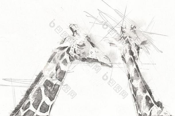 绘画艺术绘画说明关于长颈鹿为设计