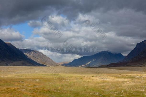 典型的看法关于蒙古的风景.蒙古干草原,蒙古的