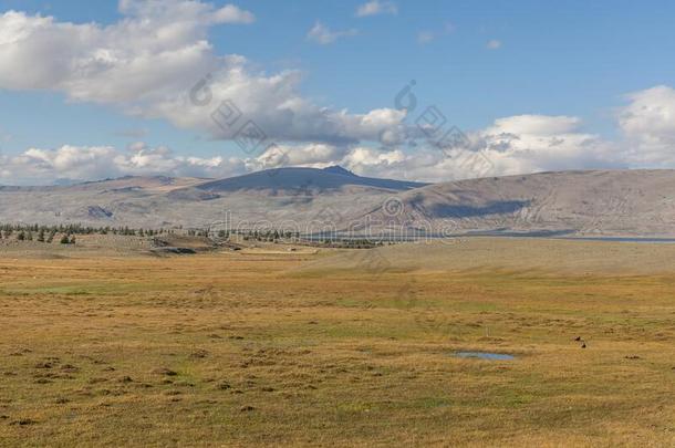 典型的看法关于蒙古的风景.蒙古的阿尔泰语,蒙古