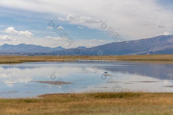 典型的看法关于蒙古的风景.蒙古的阿尔泰语,蒙古,