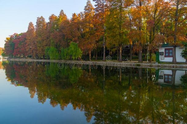 武汉东湖风景优美的地点风景采用秋