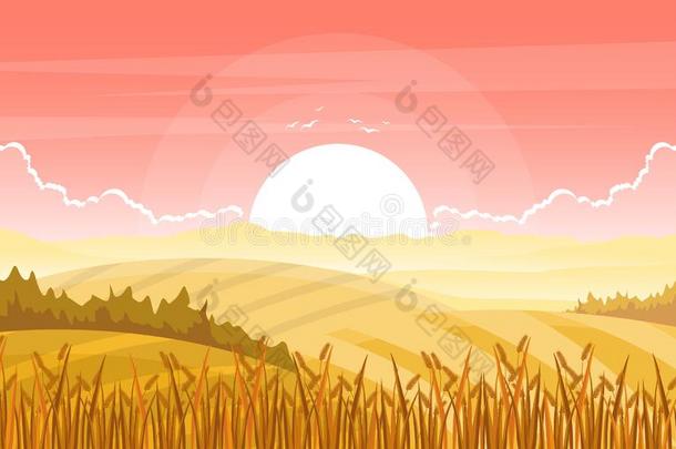 农业小麦<strong>田</strong>农场乡下的自然地点风景图解
