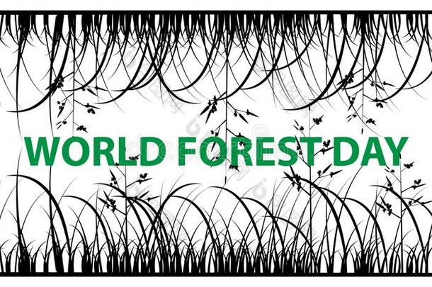 世界森林一天海报照片自然21前进