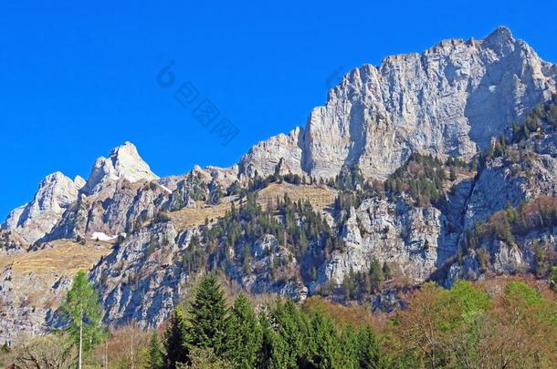 阿尔卑斯山的山峰France法国Ã¼举例France法国ue举例奥得河France法国u举例和布里西采用指已提到的人楚城