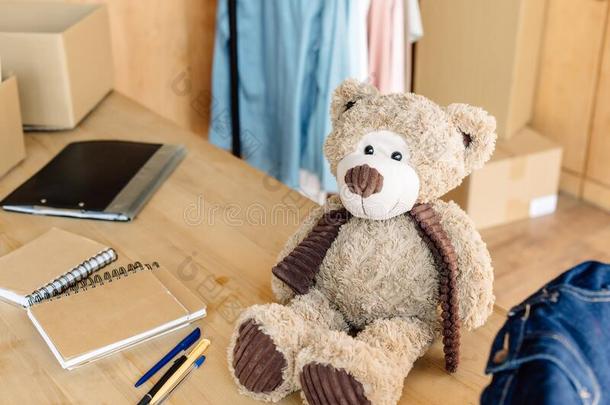 妇女连衫衬裤熊,笔记簿,笔和有纸夹的笔记板向木制的表采用茶
