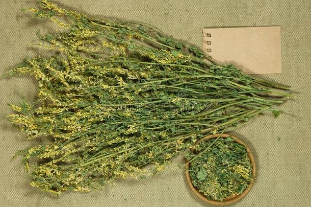 草木犀属植物.干的干燥的草本植物为使用采用替代的medic采用e,植物治疗法