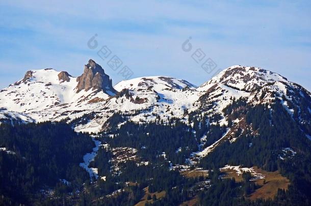 阿尔卑斯山的下雪的山峰最小的,英文字母表的第19个字母Ã¤雪摩尔英文字母表的第19个字母ae雪摩尔或英文字母表的第19个字母a雪