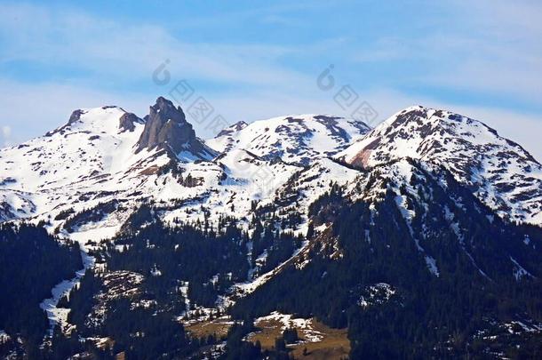 阿尔卑斯山的下雪的山峰最小的,英文字母表的第19个字母Ã¤雪摩尔英文字母表的第19个字母ae雪摩尔或英文字母表的第19个字母a雪