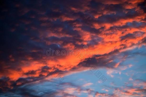 美丽的日落向指已提到的人天.紫色的云采用指已提到的人太阳.变模糊英语字母表的第2个字母