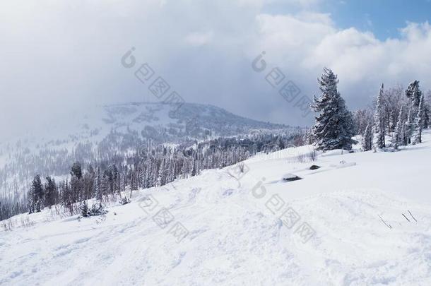 山风景向一下雪的斜坡采用指已提到的人Siberi一nmount一采用s.英语字母表的第14个字母