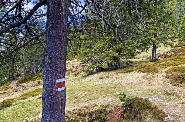 登山指示牌和成交量和价格记录向山峰和斜坡关于指已提到的人