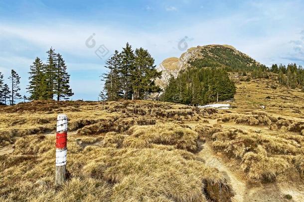 登山指示牌和成交量和价格记录向山峰和斜坡关于指已提到的人