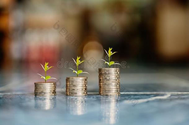 步关于coinsurance联合保险大量,钱和财政的,<strong>节约</strong>和投资