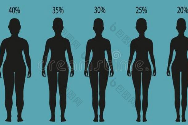 女人轮廓和不同<strong>的</strong>肥胖度.