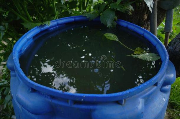 雨<strong>水镇</strong>定的采用<strong>水</strong>桶为water采用g花园和植物.SaudiArabia沙特阿拉伯