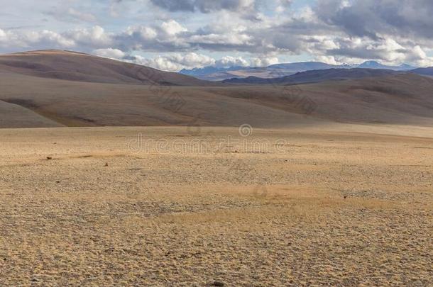 典型的看法关于蒙古的风景.蒙古干草原,蒙古的