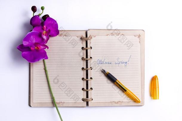 欢<strong>迎春</strong>季-一敞开的笔记簿和一束关于春季花