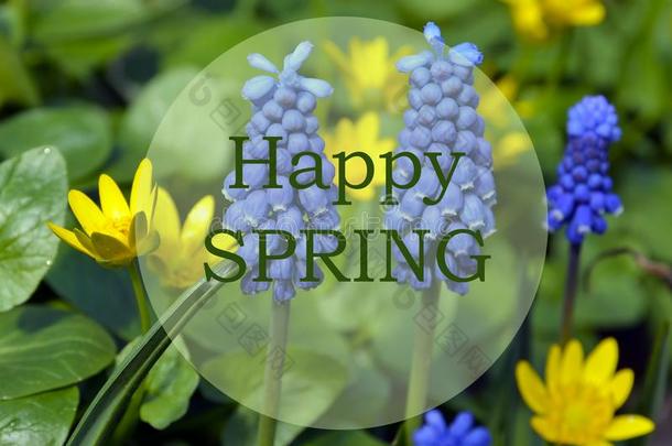 幸福的春季.明亮的春季花背景和文本.春季ti
