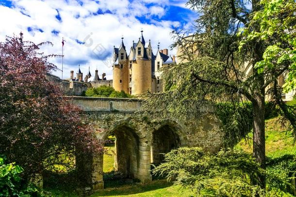 中古的城堡关于卢瓦尔河山谷-美丽的蒙特勒伊-贝拉.英语字母表的第6个字母