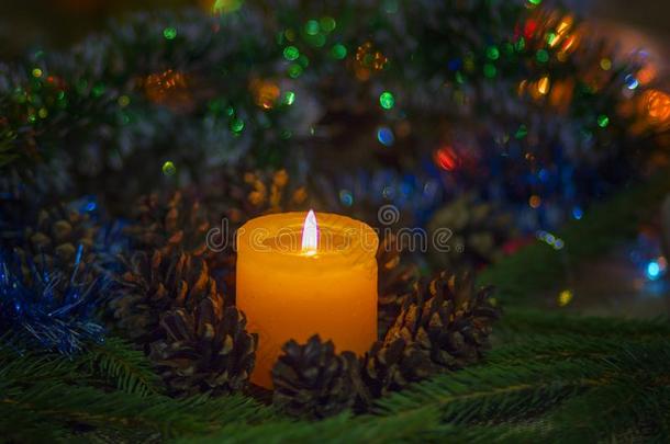 圣诞节作品.一燃烧的蜡烛大约松树圆锥细胞和Finland芬兰
