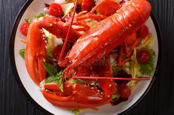 海产食品背景.红色的龙虾和新鲜的蔬菜沙拉向一