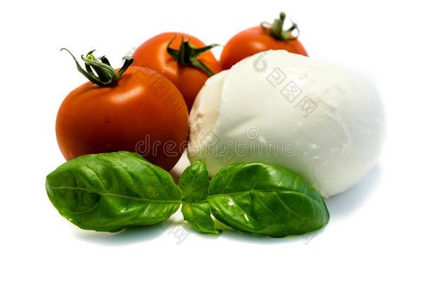 意大利干酪番茄罗勒属植物隔离的向<strong>白</strong>色的背景