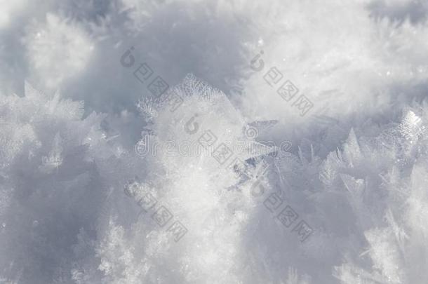 自然的鸭子影像有雕刻的采用雪水晶