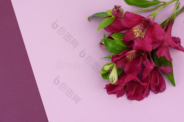 花束关于花关于黄色的和紫色的埃斯特罗姆里亚向一紫色的