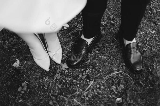 新婚的和使整洁婚礼鞋子向指已提到的人背景关于草.韦迪