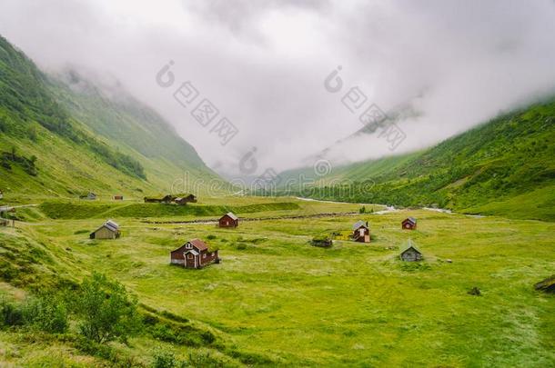 美丽的风景和风景看法关于挪威,绿色的风景int.嘿